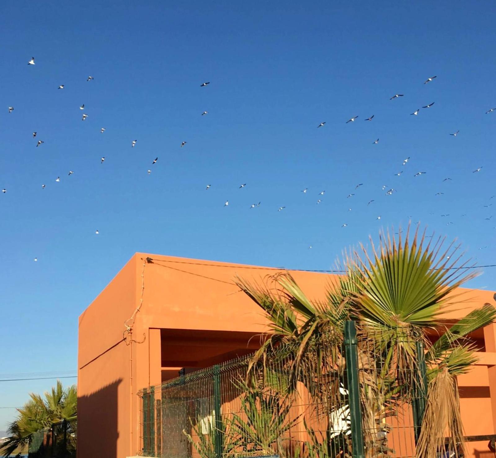 Casa Da Ria Holiday home Faro